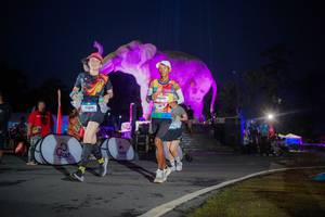 BIB: 
                            <button type="button" onclick="openModal(26551766)" class="btn btn-primary btn-sm float-right btn-popup" data-toggle="modal" data-target=".modal-high-quality">
                        <i class="fas fa-shopping-cart"></i> Add to Cart
                    </button>
                                            <button type="button" onclick="isThisMe(26551766, true)" class="btn btn-success btn-sm float-right btn-popup btn-isme hidden" data-toggle="tooltip" data-placement="bottom" title="นี่คือรูปของคุณใช่ไหม คลิกที่นี่เพื่อเอาเข้าอัลบั้ม">
                        <i class="fas fa-plus"></i> Add to album
                    </button>
                    <button type="button" onclick="isThisMe(26551766, false)" class="btn btn-warning btn-sm float-right btn-popup btn-isnotme hidden">
                        <i class="fas fa-ban"></i> Remove from album
                    </button>